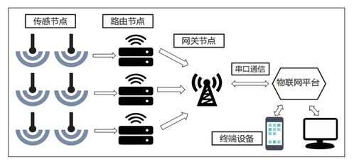 物聯網與網絡技術如何優化乘船體驗