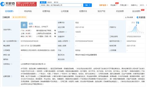 網絡技術服務 數字時代的隱形引擎