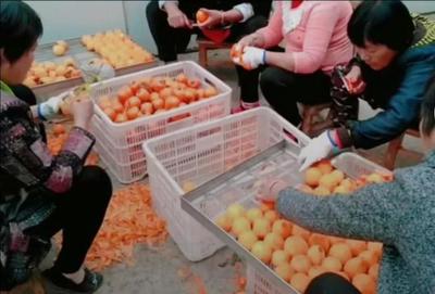 內鄉縣 借力“互聯網+” 驅動傳統農業智慧升級