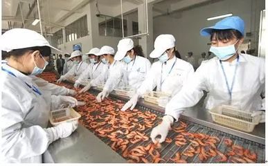 看煙臺 產業融合驅動海洋經濟高質量發展——食品互聯網銷售的創新實踐