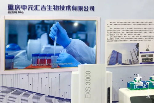 打探2021智博會(huì),大渡口14家企業(yè)攜高科技產(chǎn)品亮相